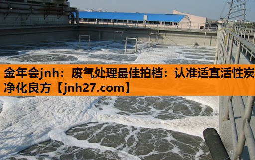 金年会jnh：废气处理最佳拍档：认准适宜活性炭净化良方