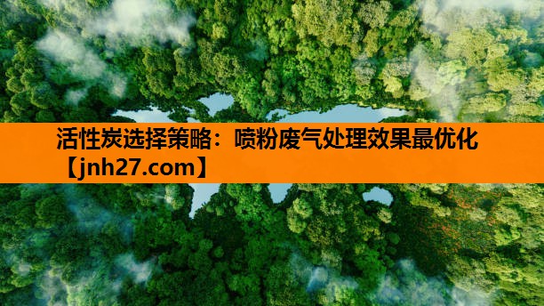 活性炭选择策略：喷粉废气处理效果最优化