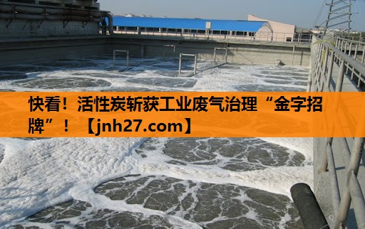 快看！活性炭斩获工业废气治理“金字招牌”！