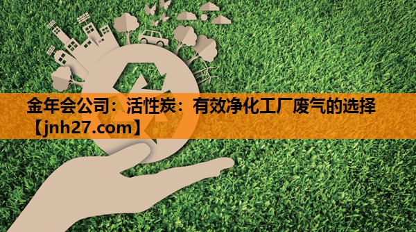 活性炭：有效净化工厂废气的选择
